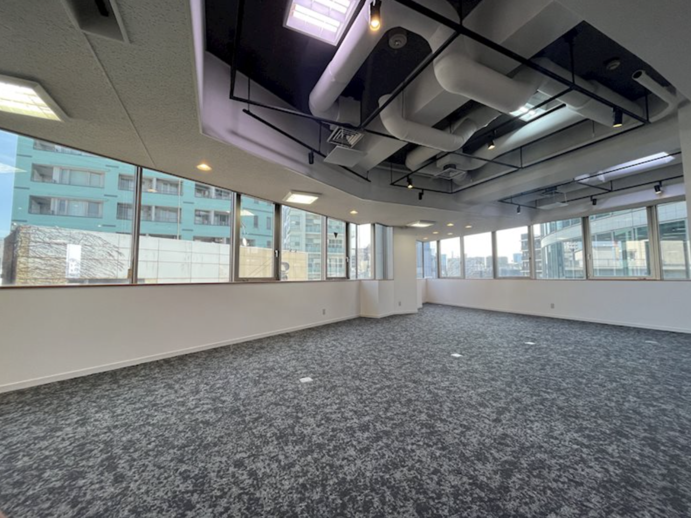 ハーフスケルトン