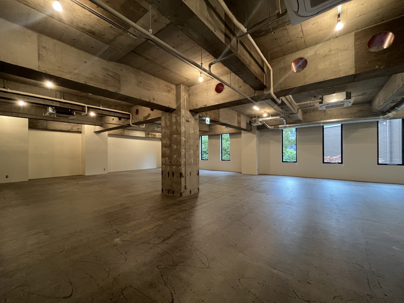 【成約済み】ドでかスケルトン