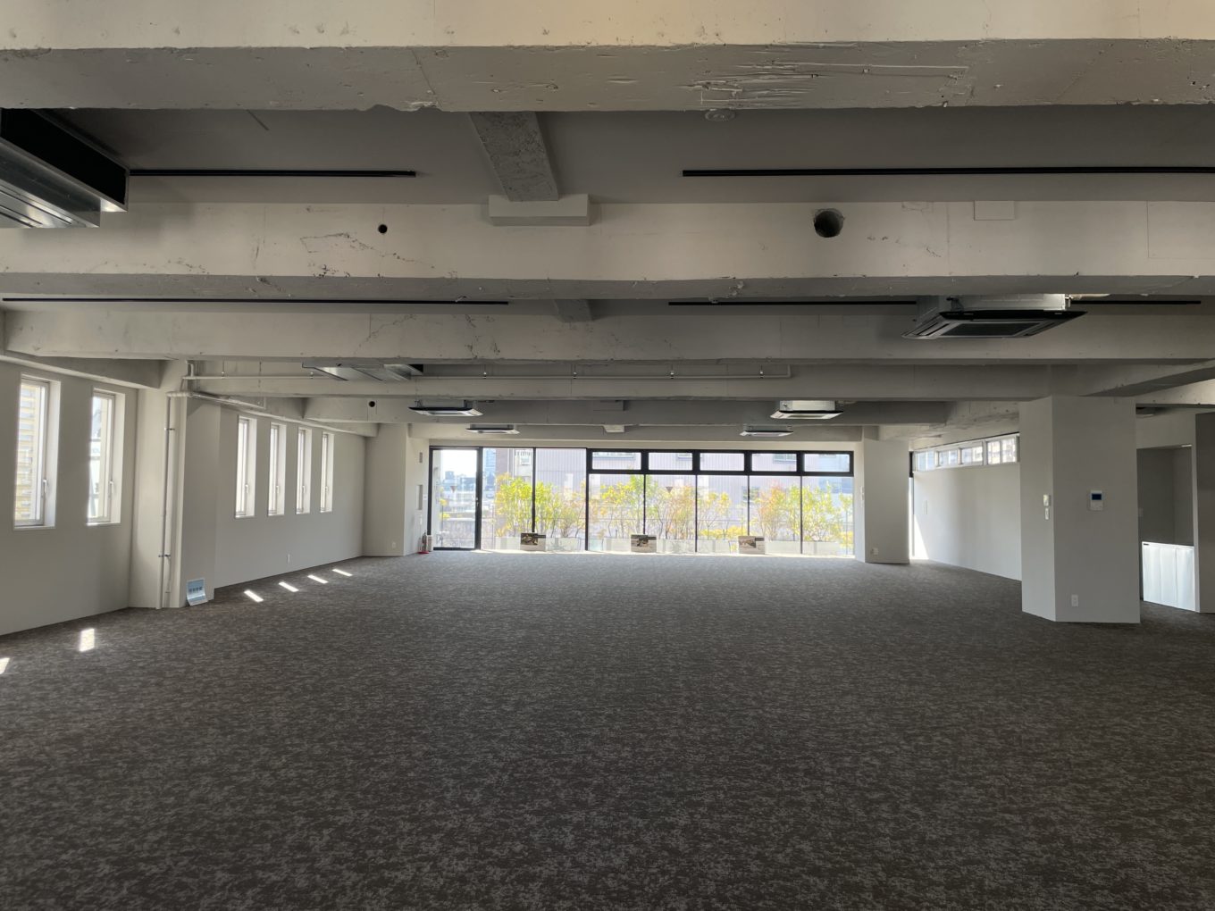 光を集めるスケルトン