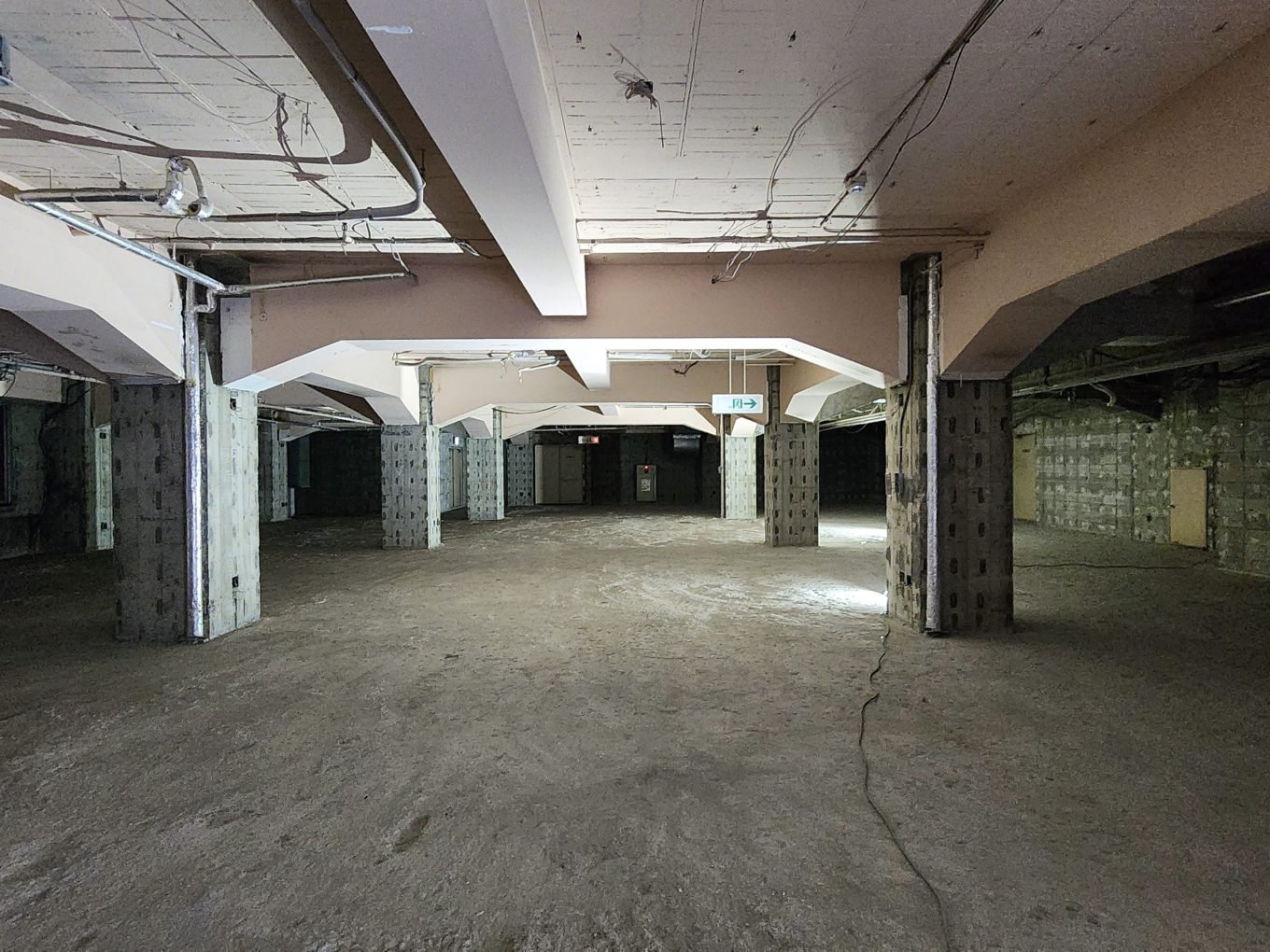 どでかい！アイボリースケルトン