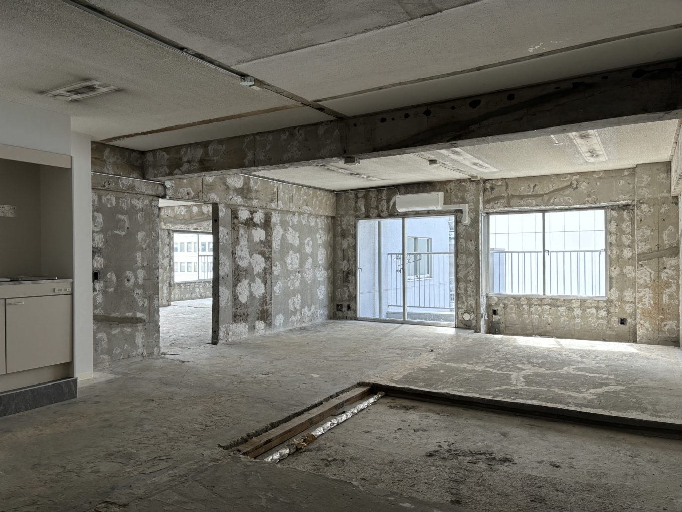 王道セミスケルトン