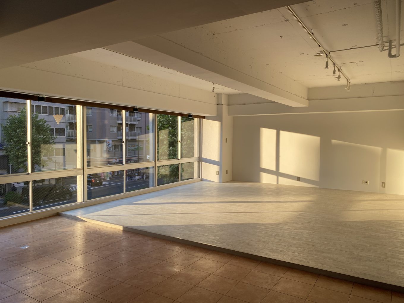 【成約済み】儚さも武器にして