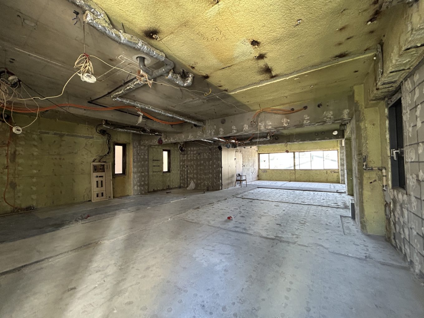 ハイエンドのスケルトン