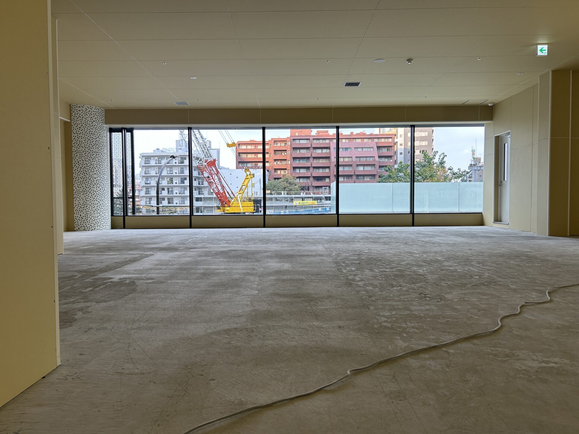 モトラボスケルトン